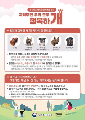 부산시, 성숙한 반려동물문화 조성 홍보 캠페인 전개