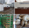 부산시, 도시농업‘스마트팜’전국 최초 개소